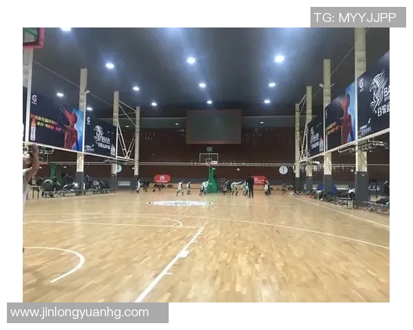 五年对比：篮球八卦数据全面进化！