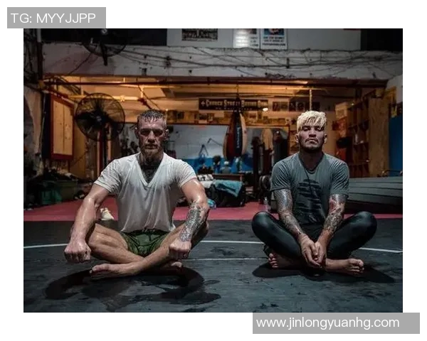 MMA格斗之夜：KO瞬间集锦