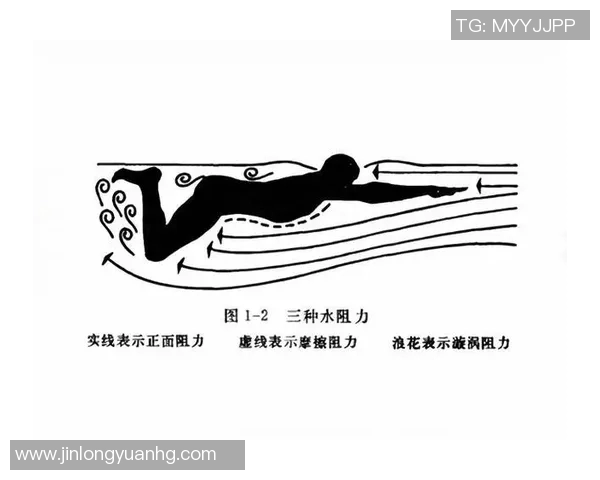 奥运会游泳项目技术动作标准化研究 奥运会游泳项目技术动作标准化研究